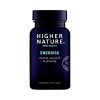 Higher Nature Energize (B-Vital) 90's