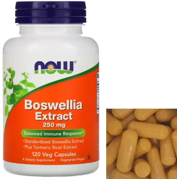 Now Boswellia Extract 250mg Vcaps 120's
